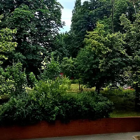 One 24h Strefa Komfortu * Bytom